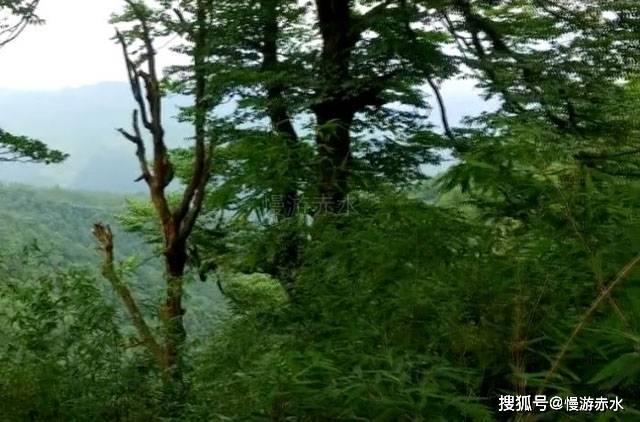 印度NIFTY指数盘前涨0.2%。